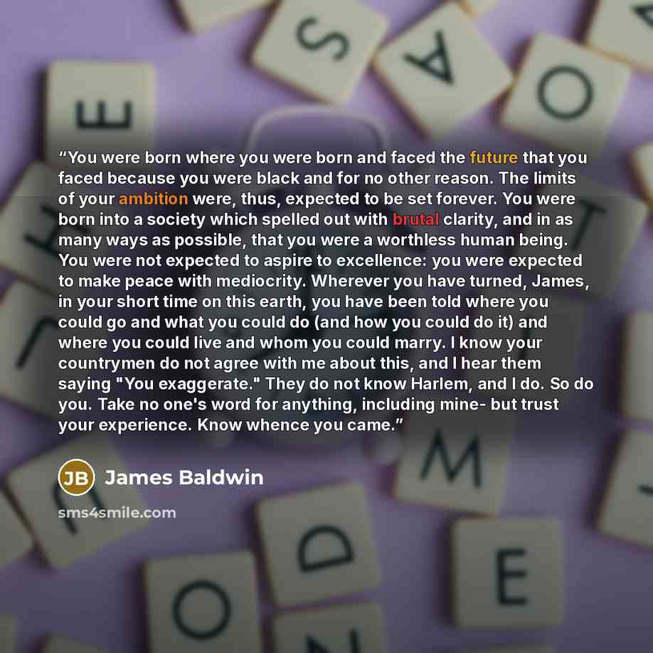 “You were born where you were born and faced the future that you faced because you were black and for no other reason. The limits of your ambition were, thus, expected to be set forever. You were born into a society which spelled out with brutal clarity, and in as many ways as possible, that you…” quote by James Baldwin