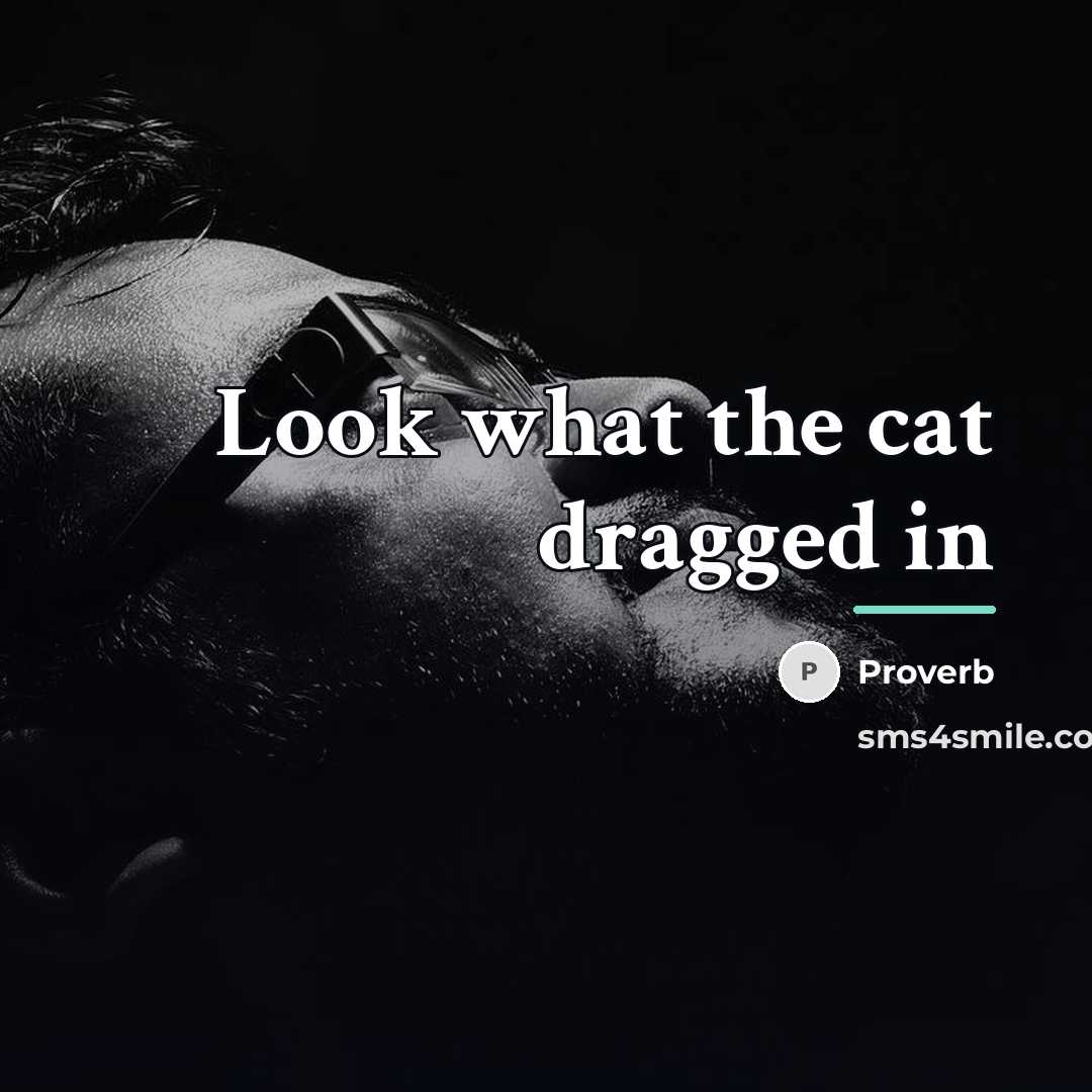 “Look what the cat dragged in…” quote by Proverb