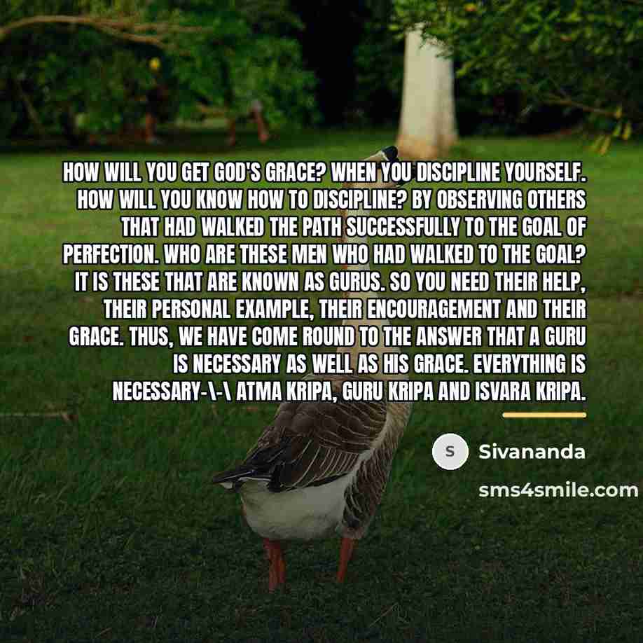 “How will you get God's grace? When you discipline yourself.…” quote by Sivananda