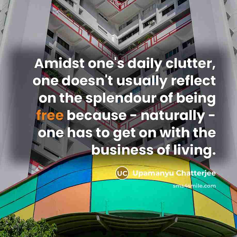 “Amidst one's daily clutter, one doesn't usually reflect on the…” quote by Upamanyu Chatterjee
