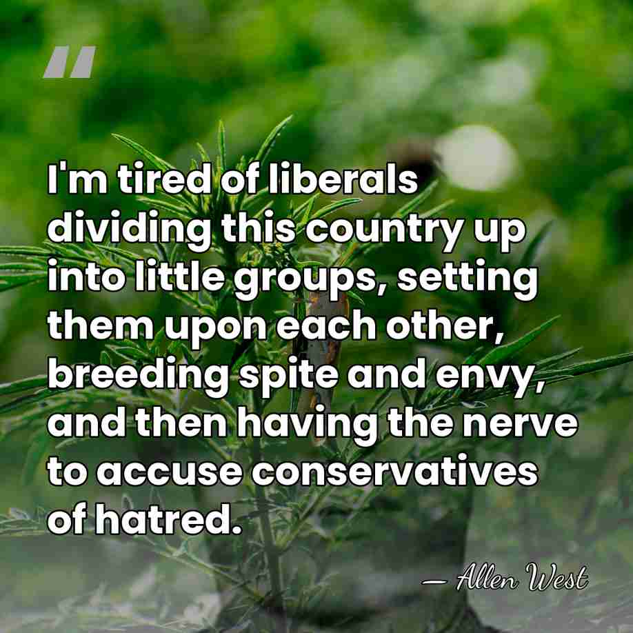 I'm tired of liberals dividing this country up into little groups, setting&hellip; - Allen West