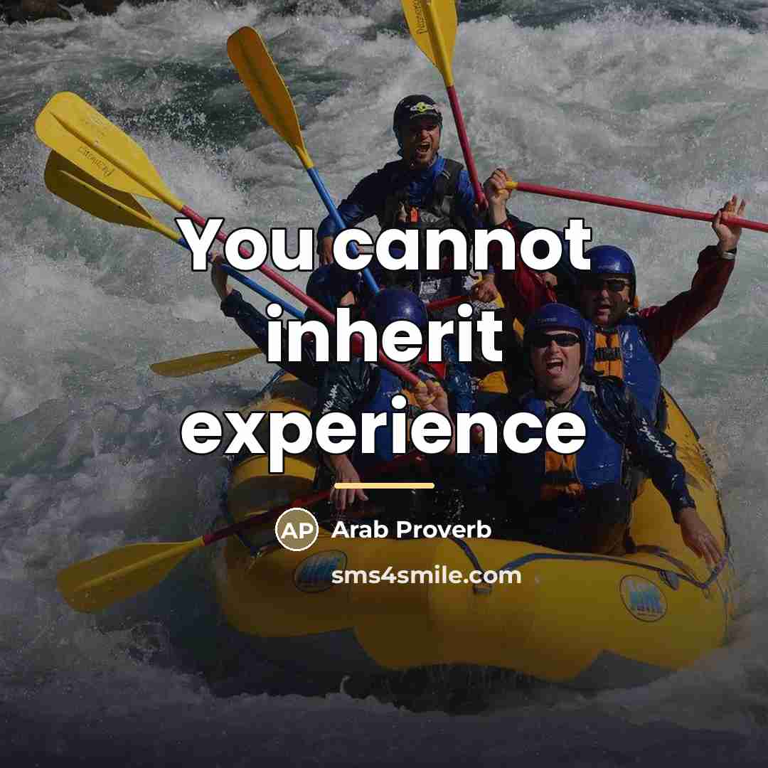 “You cannot inherit experience…” quote by Arab Proverb