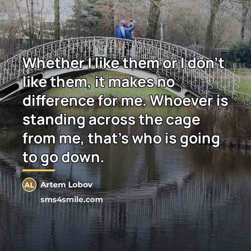 “Whether I like them or I don't like them, it…” quote by Artem Lobov