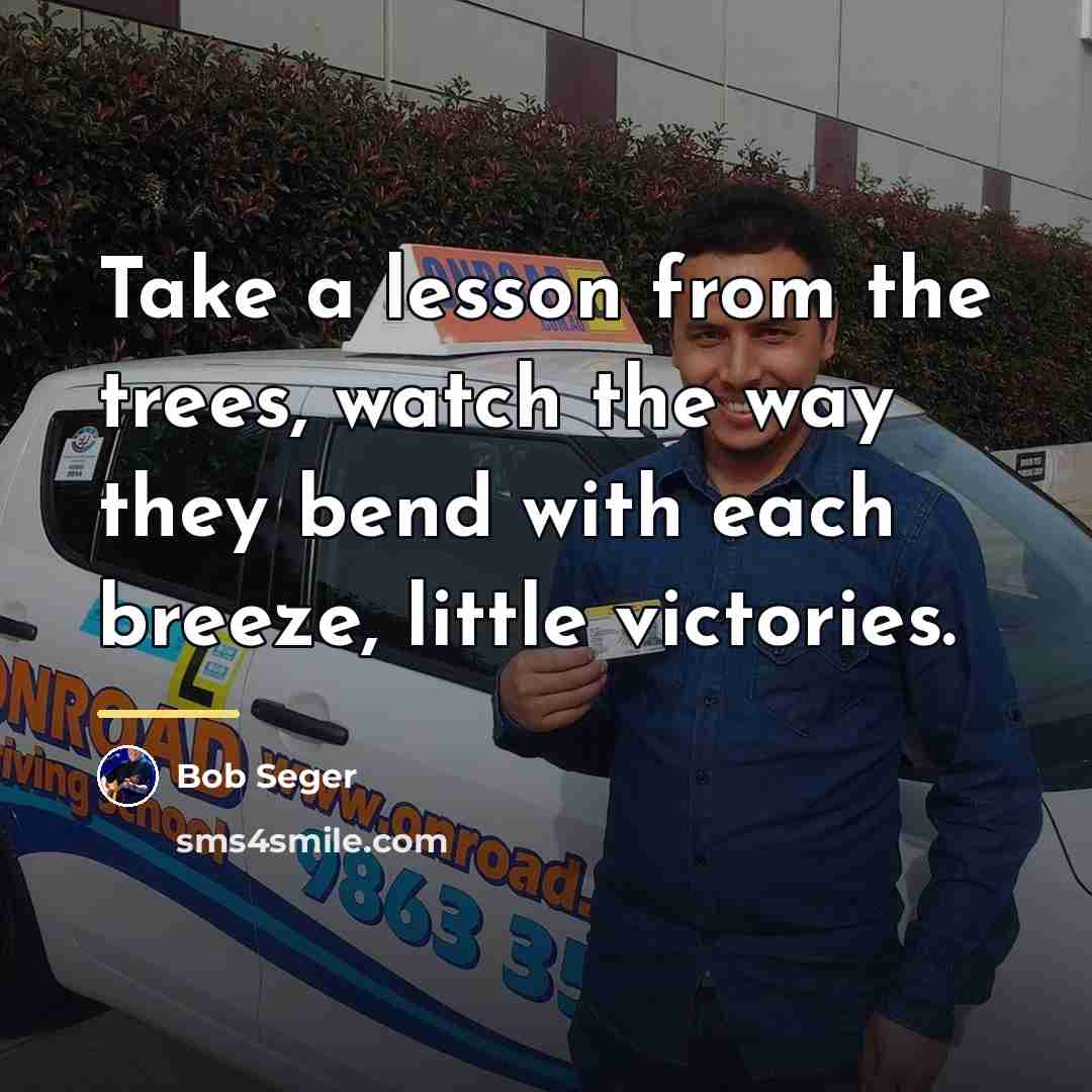 “Take a lesson from the trees, watch the way they…” quote by Bob Seger