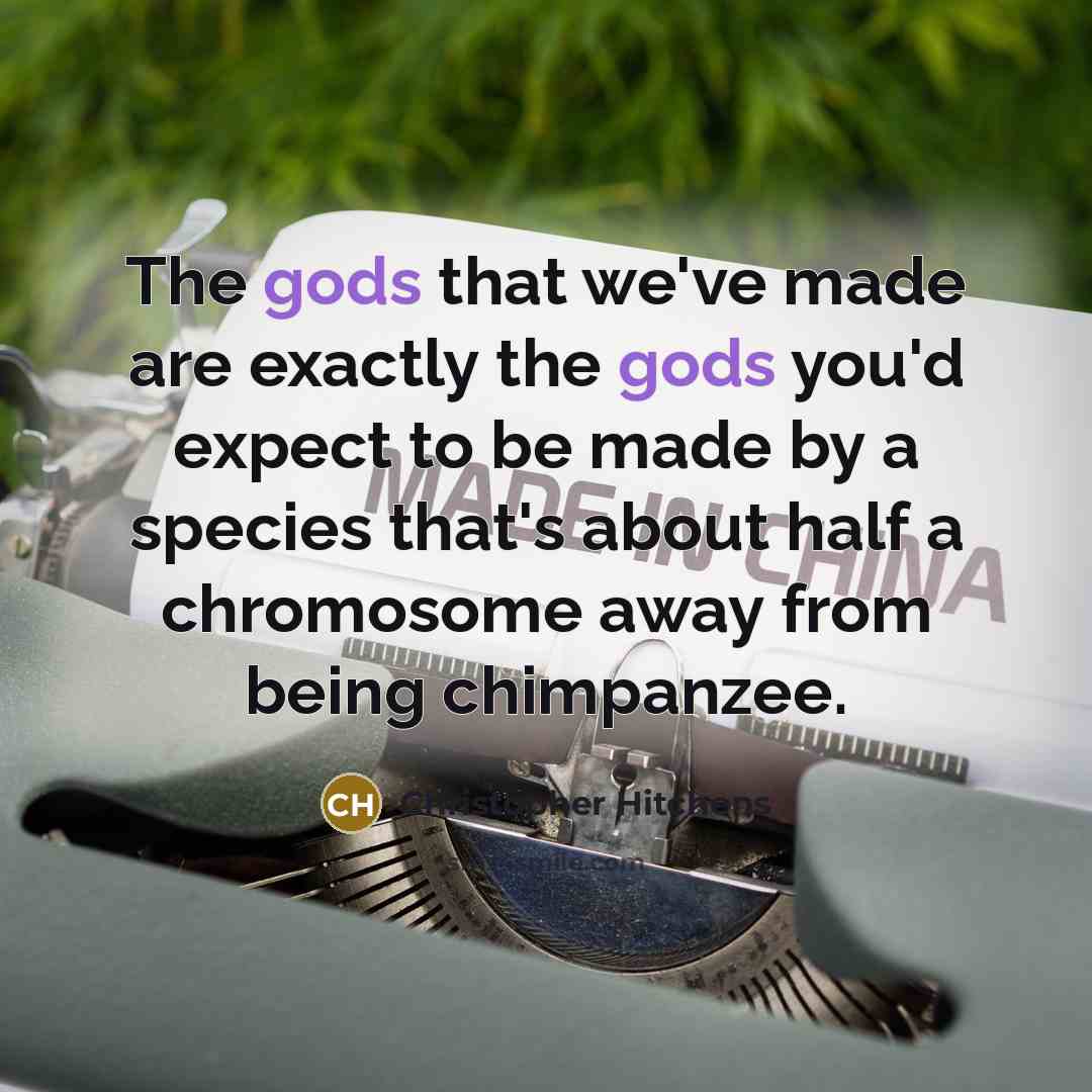 “The gods that we've made are exactly the gods you'd expect to be made by a species that's about half a chromosome away from being chimpanzee.” quote by Christopher Hitchens