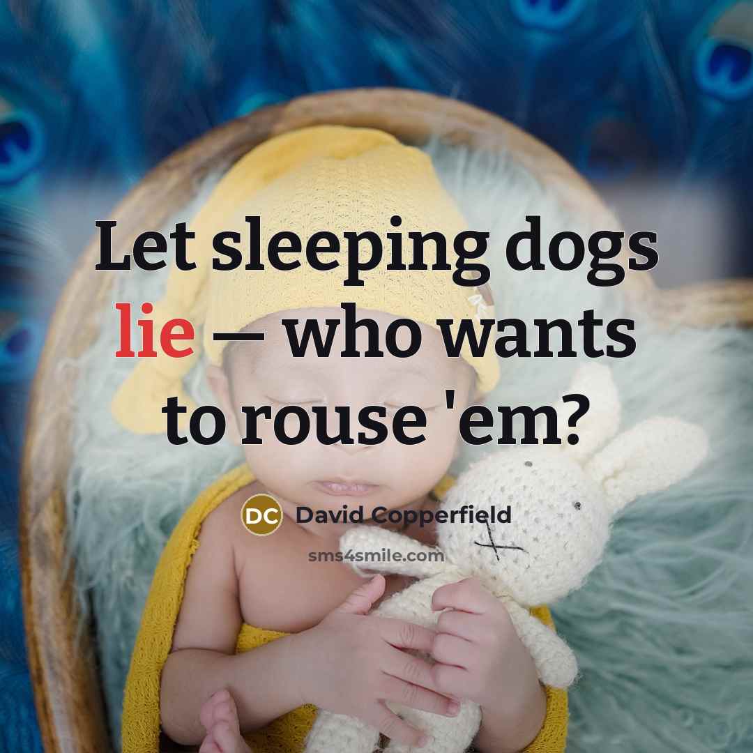 “Let sleeping dogs lie — who wants to rouse 'em?…” quote by David Copperfield