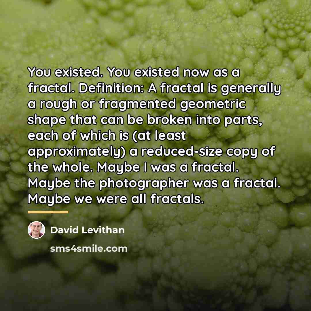 “You existed. You existed now as a fractal. Definition: A…” quote by David Levithan