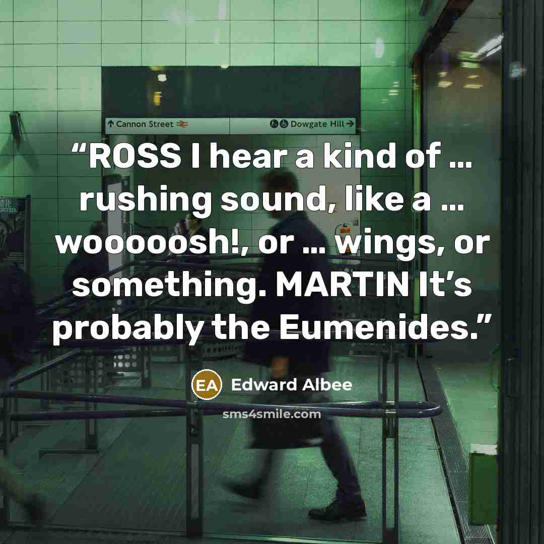 “ROSS I hear a kind of … rushing sound, like a … wooooosh!, or … wings, or something. MARTIN It’s probably the Eumenides.” quote by Edward Albee