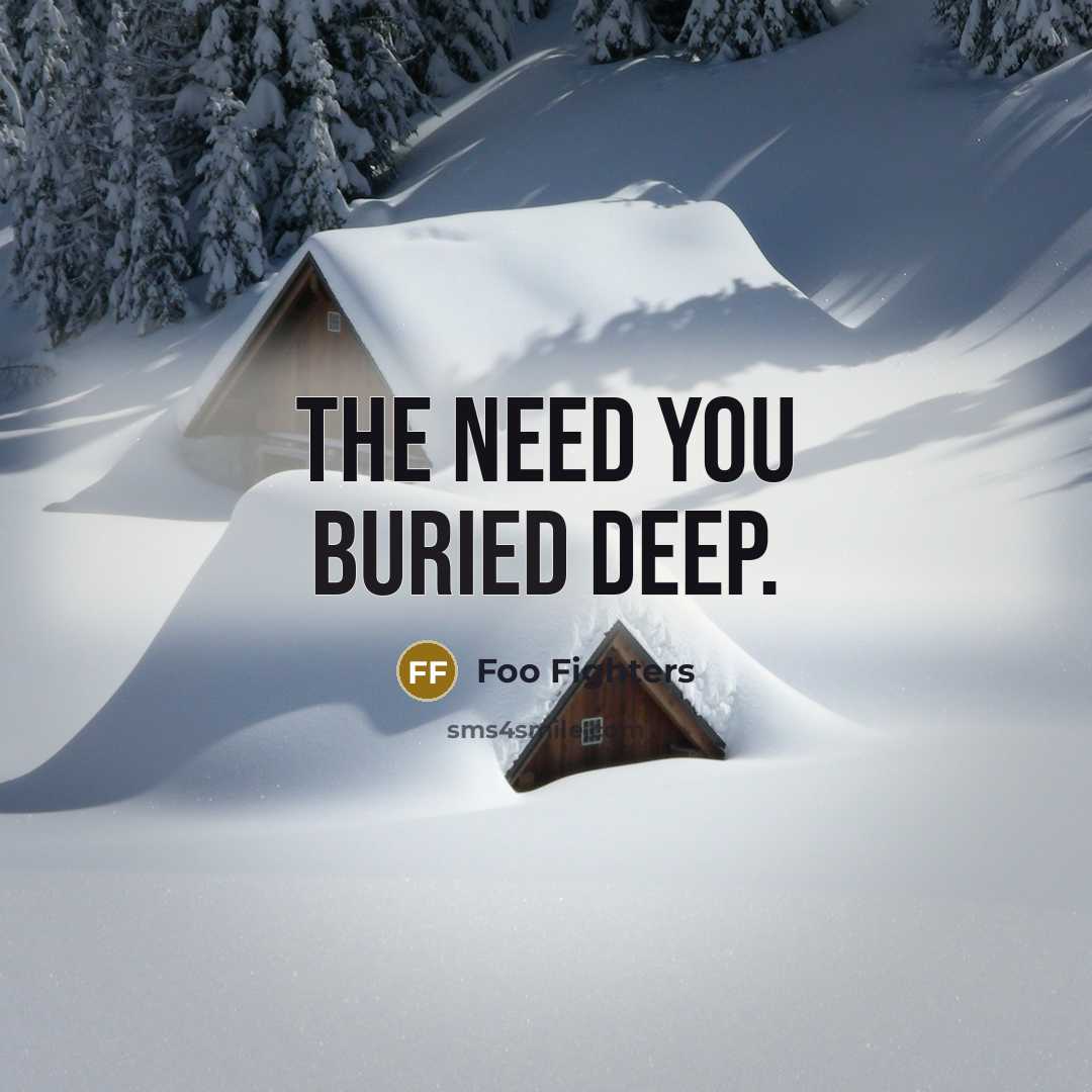 “The need you buried deep.” quote by Foo Fighters