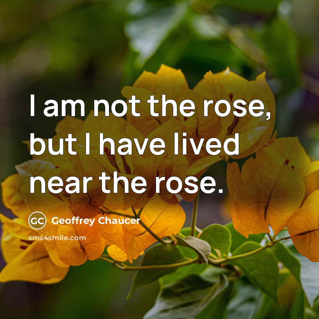 “I am not the rose, but I have lived near…” quote by Geoffrey Chaucer