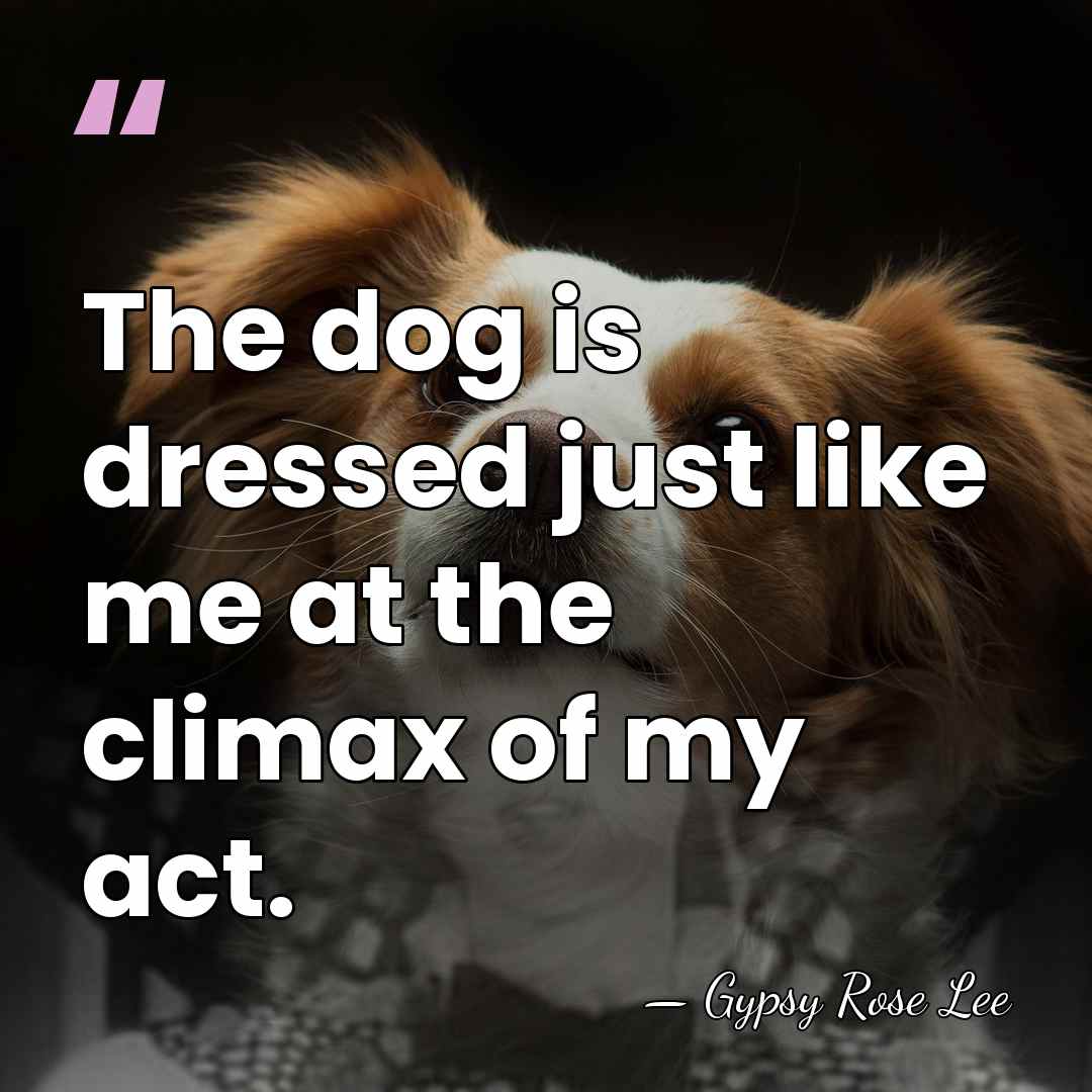 The dog is dressed just like me at the climax of my&hellip; - Gypsy Rose Lee