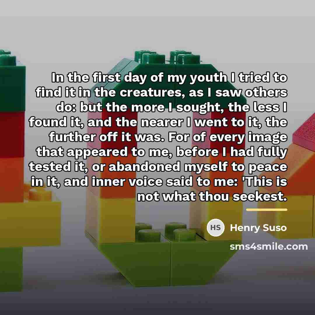 “In the first day of my youth I tried to…” quote by Henry Suso