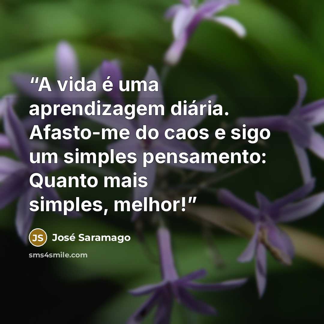“A vida é uma aprendizagem diária. Afasto-me do caos e sigo um simples pensamento: Quanto mais simples, melhor!” quote by José Saramago