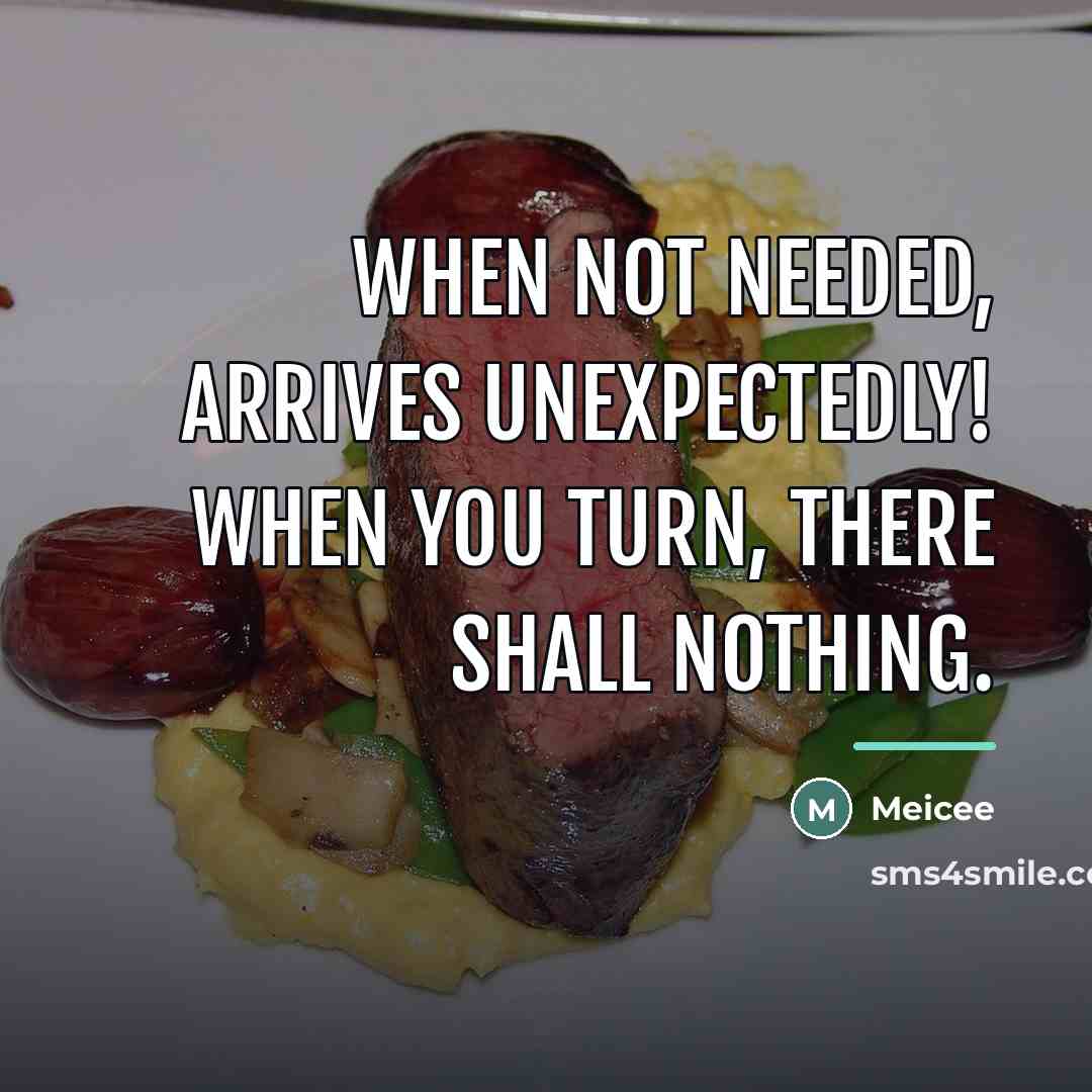 “When not needed, arrives unexpectedly! when you turn, there shall…” quote by Meicee