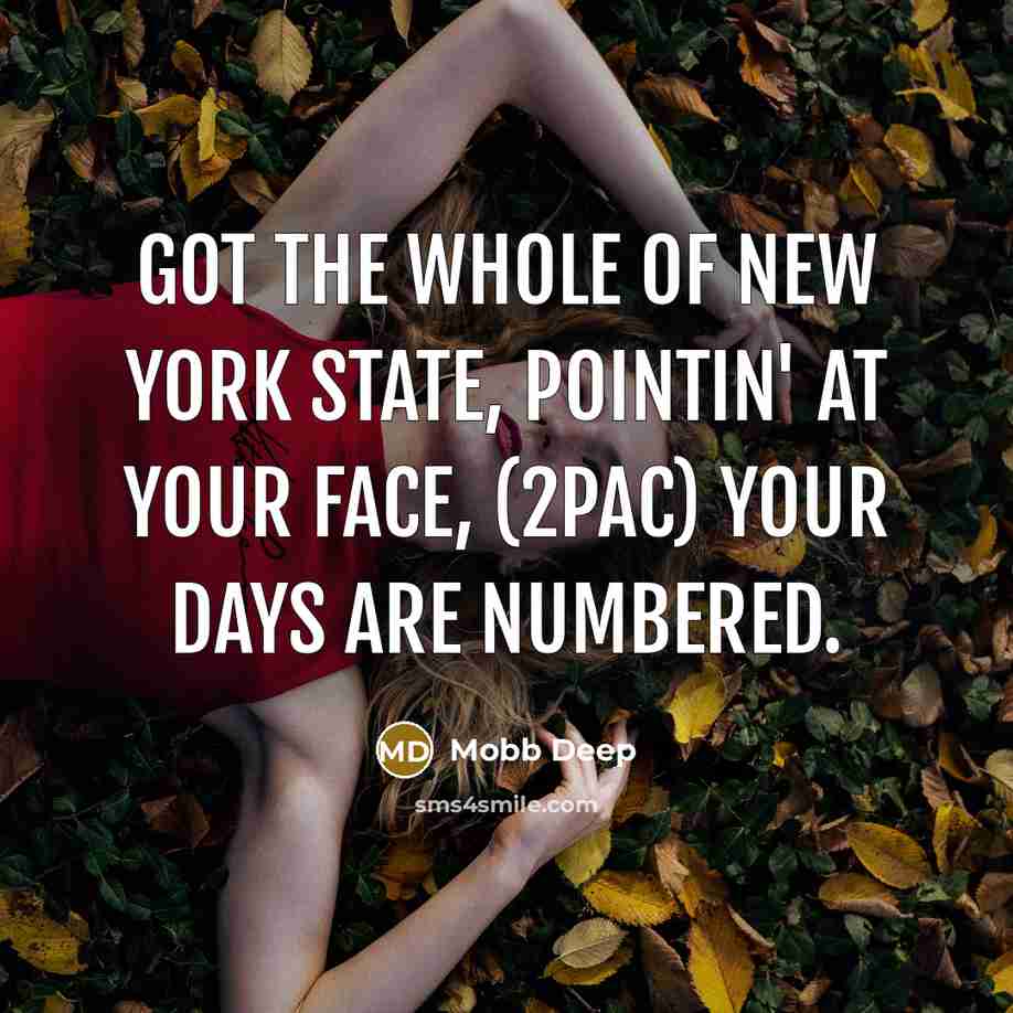 “Got the whole of New York state, pointin' at your…” quote by Mobb Deep