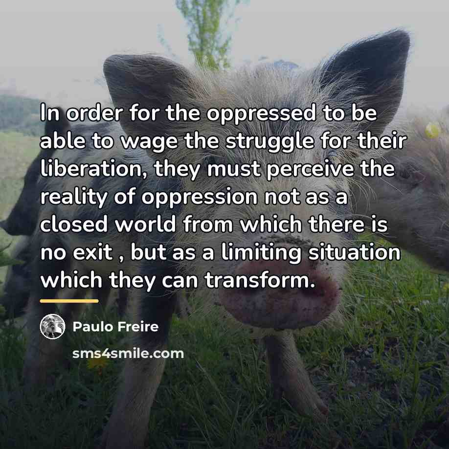 “In order for the oppressed to be able to wage…” quote by Paulo Freire