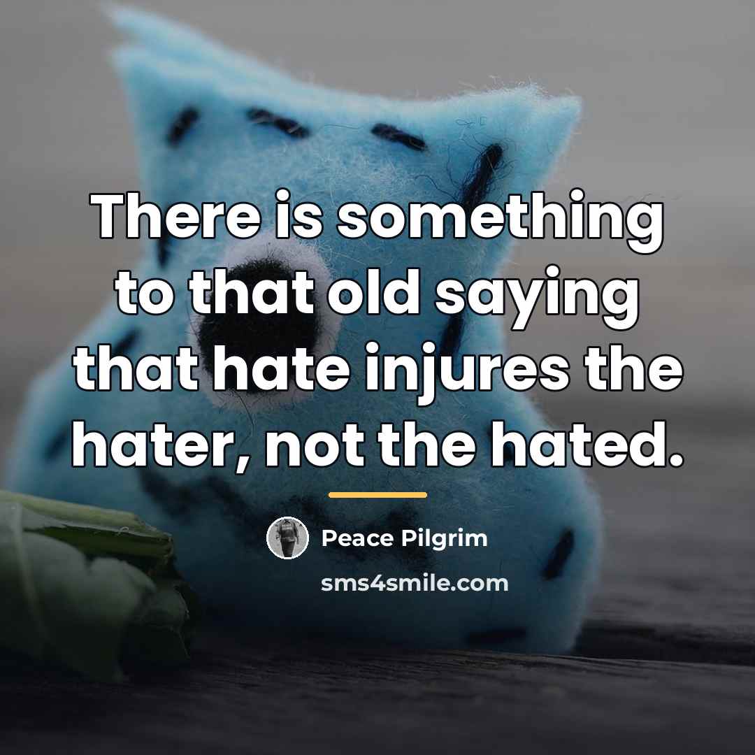 “There is something to that old saying that hate injures…” quote by Peace Pilgrim