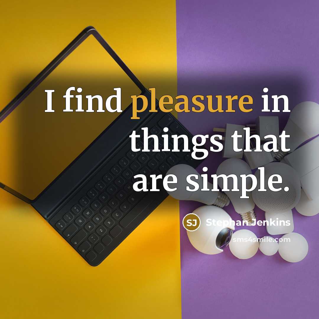 “I find pleasure in things that are simple.…” quote by Stephan Jenkins