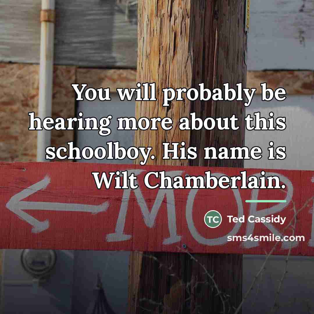 “You will probably be hearing more about this schoolboy. His…” quote by Ted Cassidy