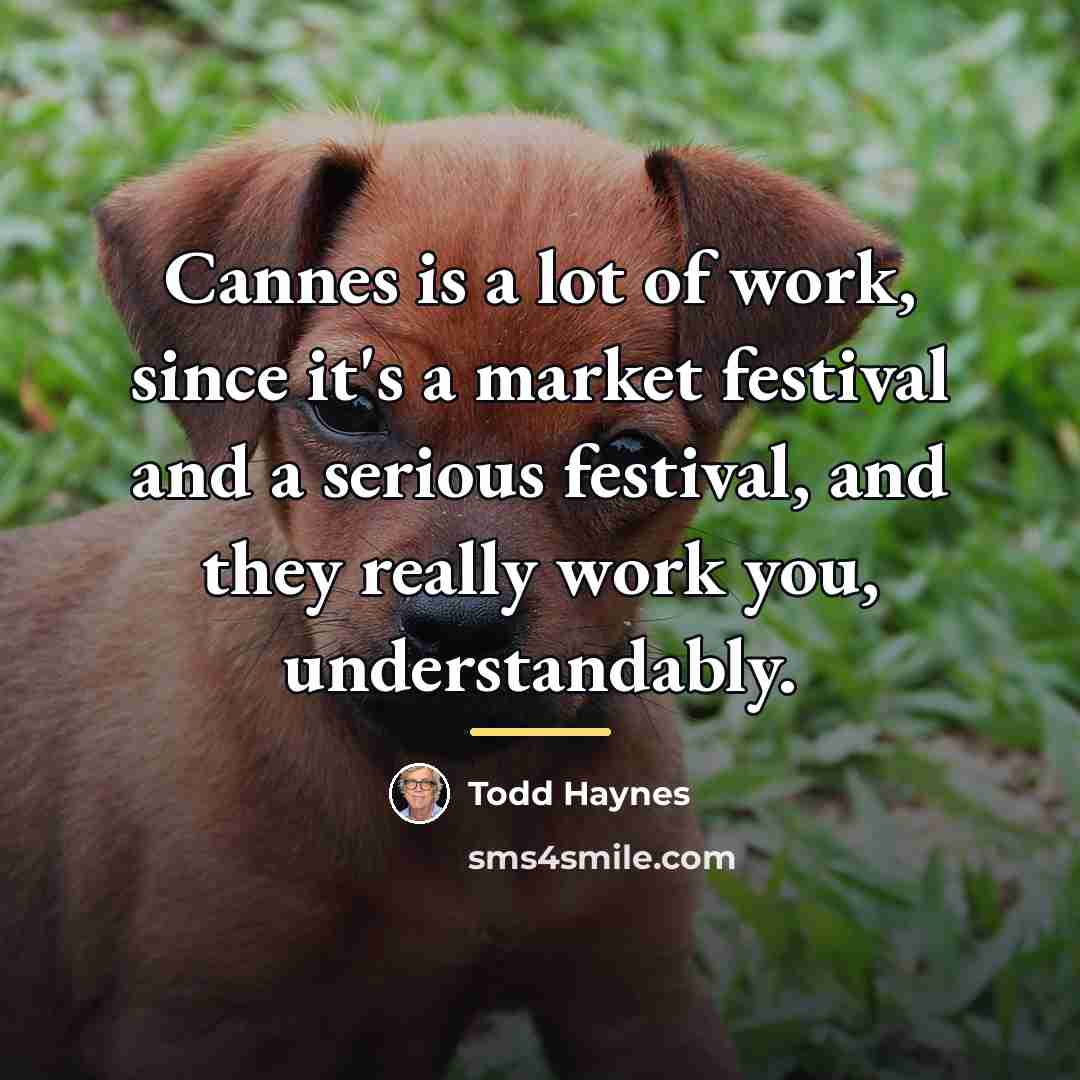 “Cannes is a lot of work, since it's a market…” quote by Todd Haynes