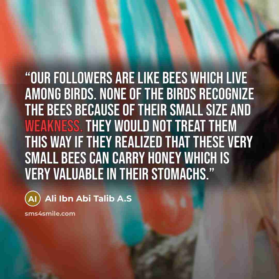 “Our followers are like bees which live among birds. None of the birds recognize the bees because of their small size and weakness. They would not treat them this way if they realized that these very small bees can carry honey which is very valuable in their stomachs.” quote by Ali Ibn Abi Talib A.S