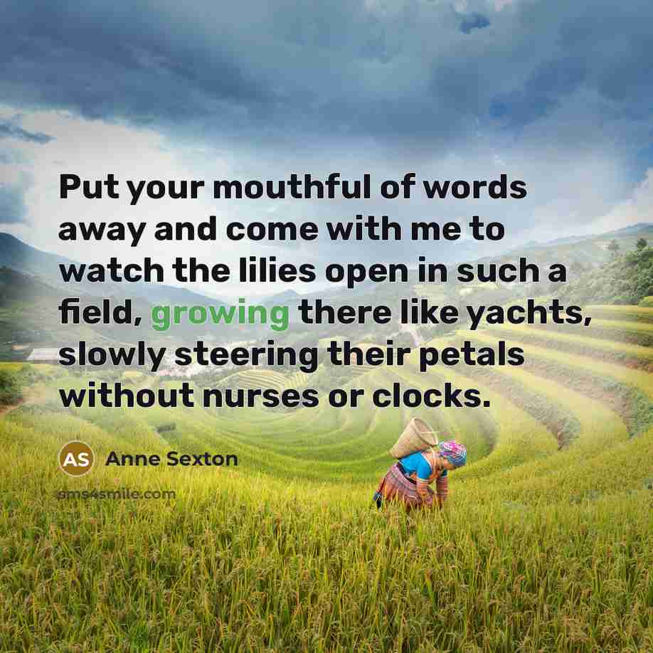 “Put your mouthful of words away and come with me…” quote by Anne Sexton