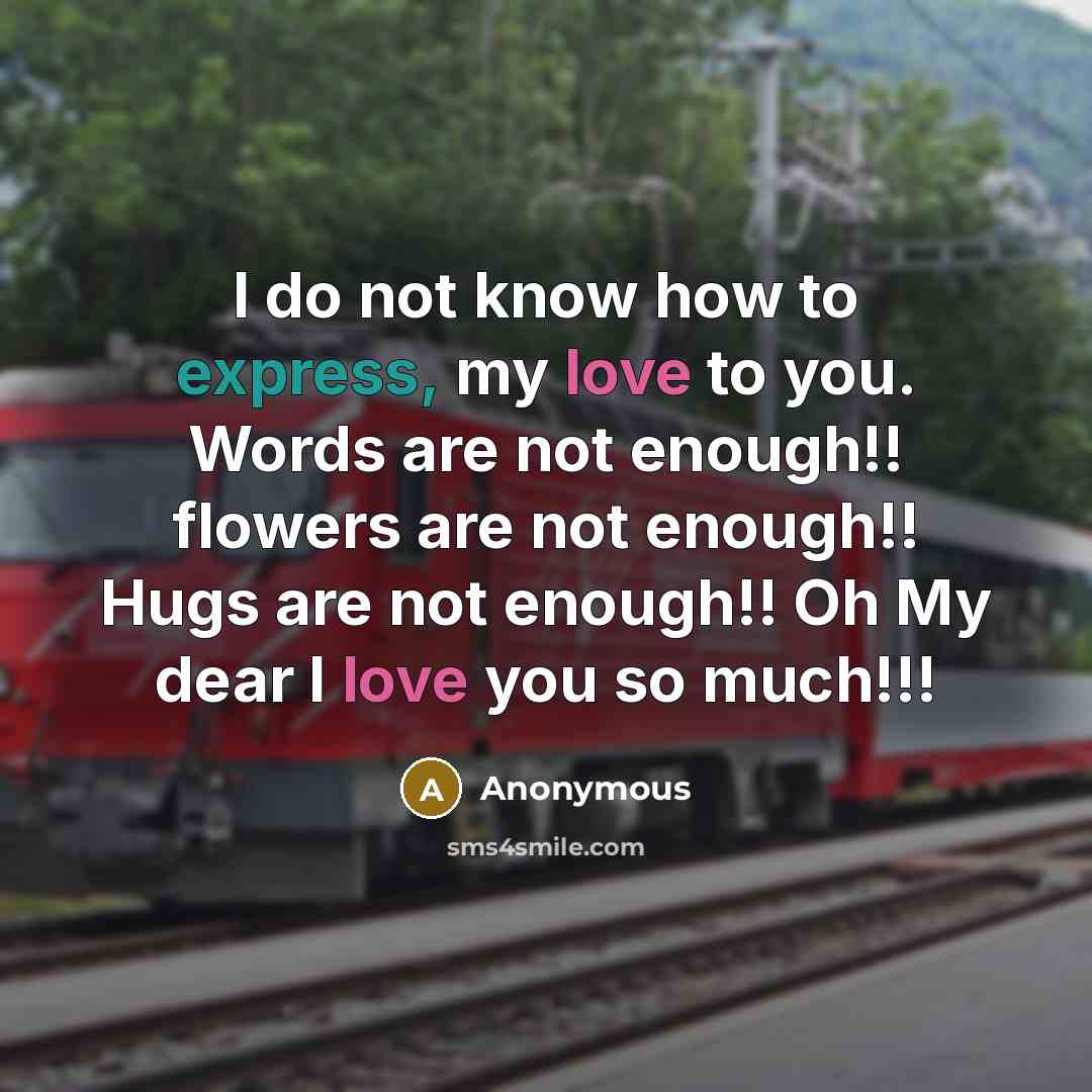 “I do not know how to express, my love to you. Words are not enough!! flowers are not enough!! Hugs are not enough!! Oh My dear I love you so much!!!” quote by Anonymous