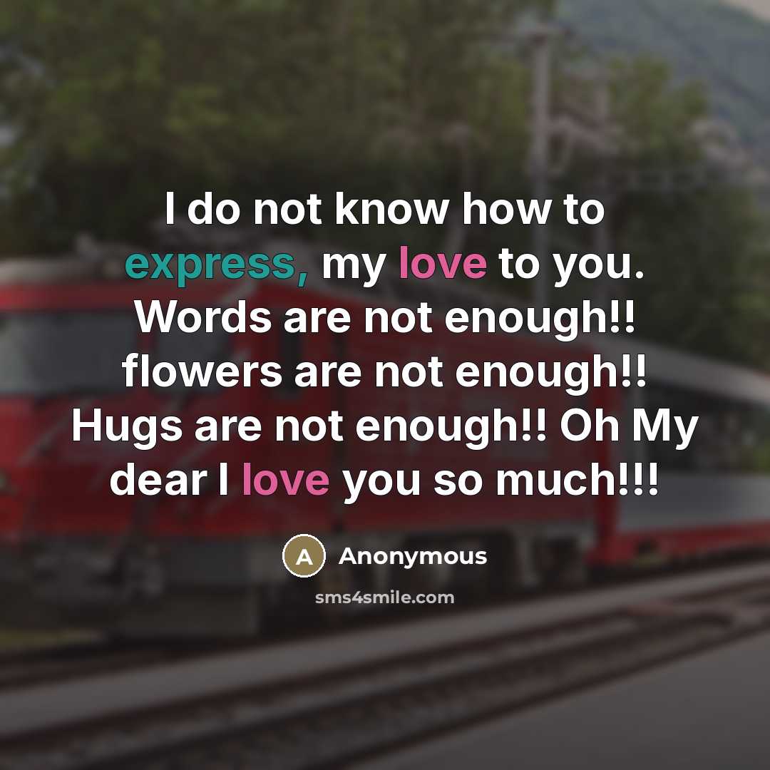 “I do not know how to express, my love to you. Words are not enough!! flowers are not enough!! Hugs are not enough!! Oh My dear I love you so much!!!” quote by Anonymous