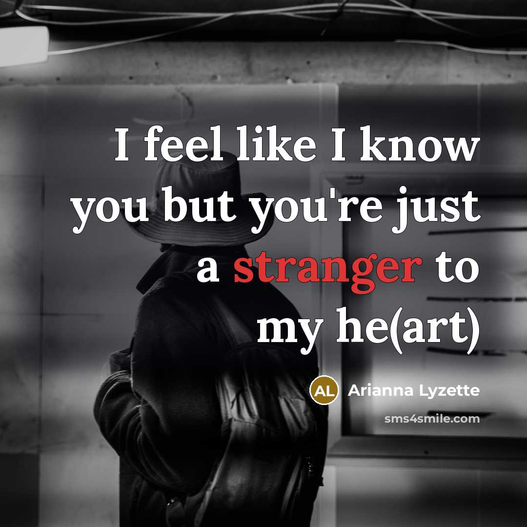 “I feel like I know you but you're just a…” quote by Arianna Lyzette