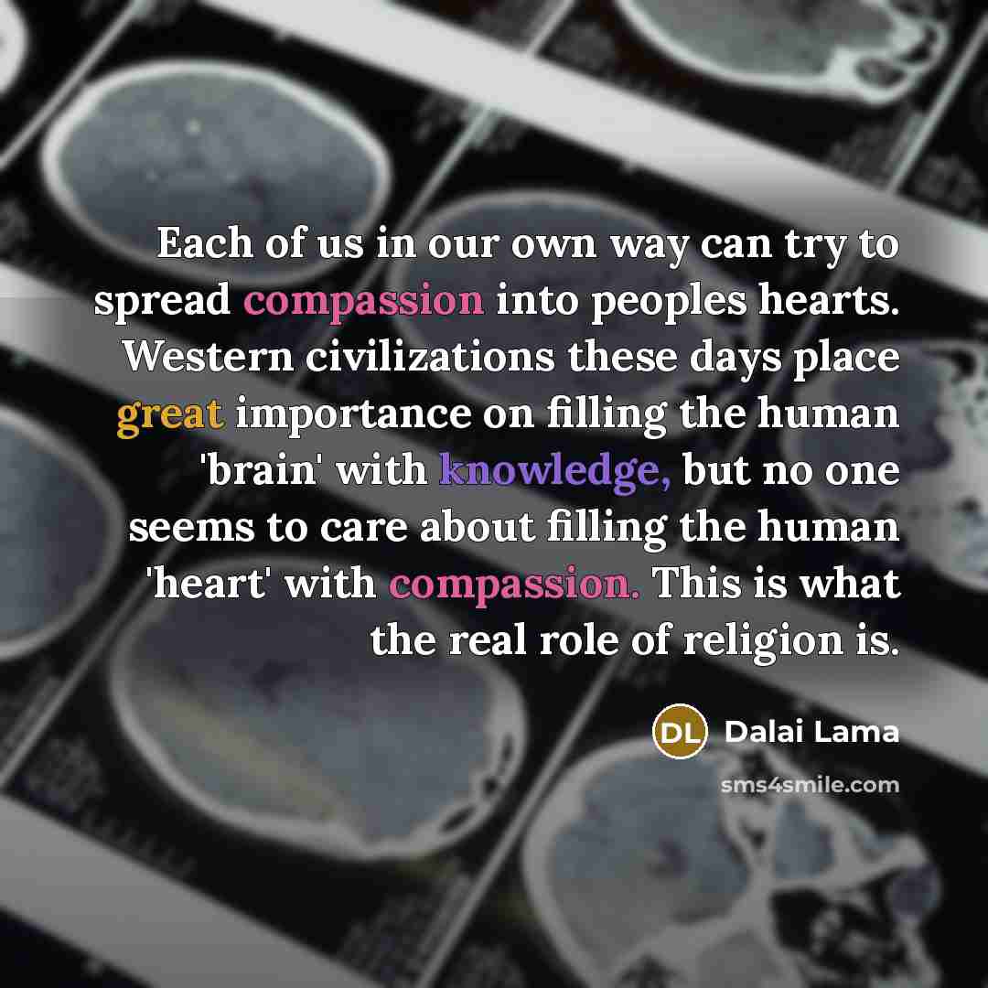 “Each of us in our own way can try to…” quote by Dalai Lama