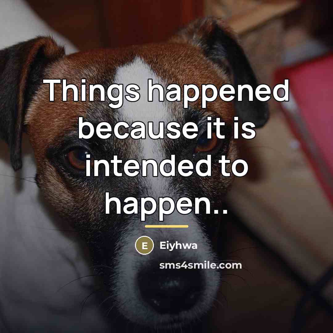 “Things happened because it is intended to happen..…” quote by Eiyhwa