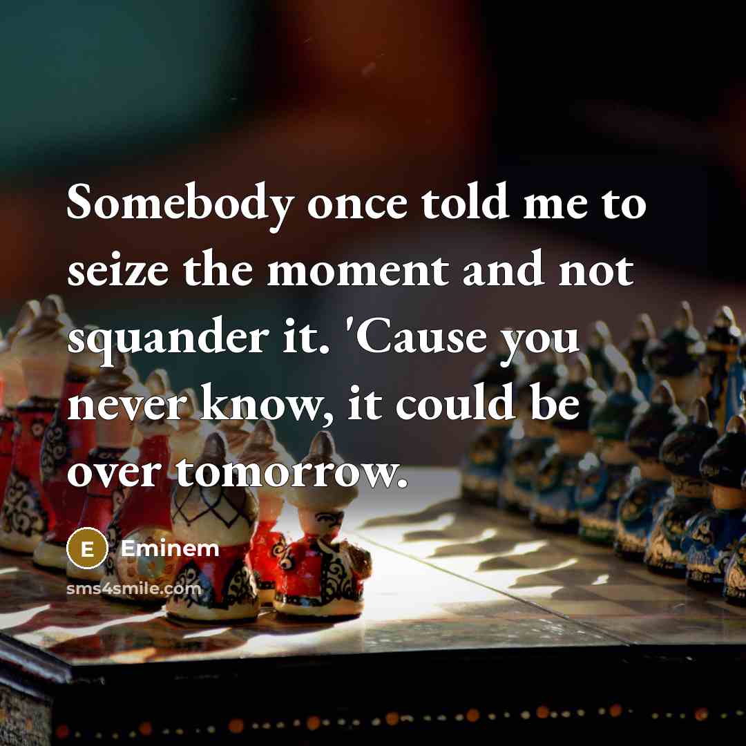 “Somebody once told me to seize the moment and not…” quote by Eminem