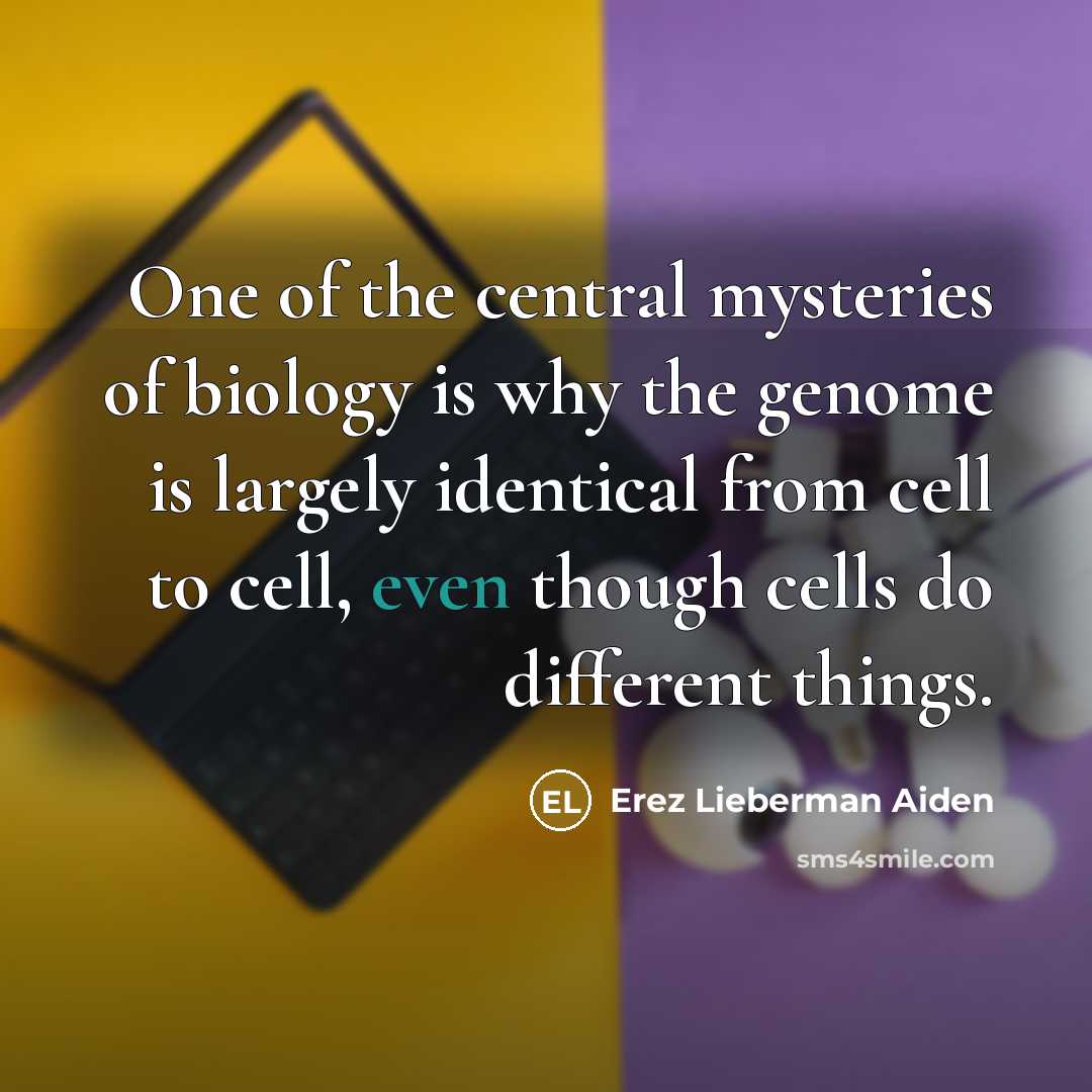 “One of the central mysteries of biology is why the…” quote by Erez Lieberman Aiden