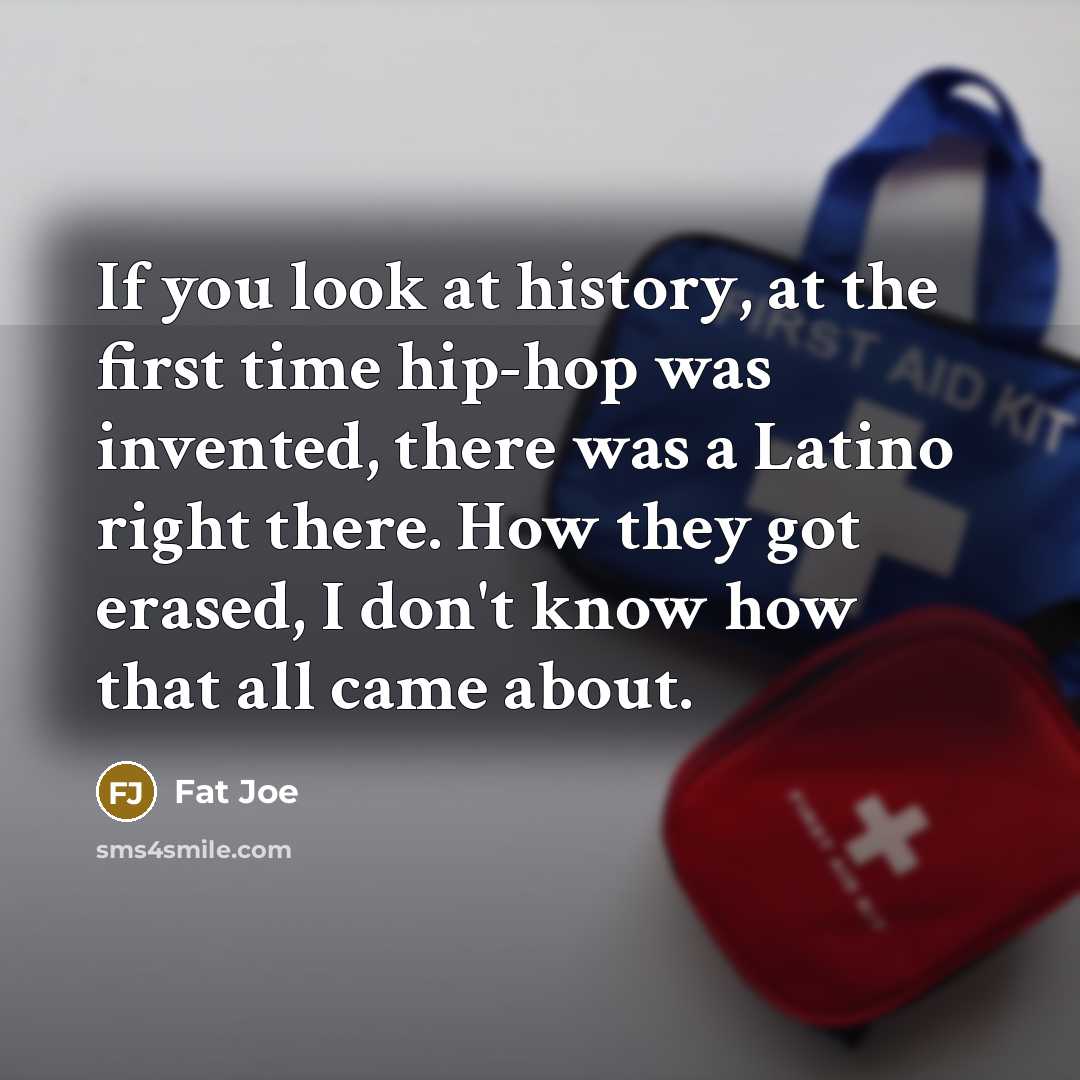 “If you look at history, at the first time hip-hop…” quote by Fat Joe