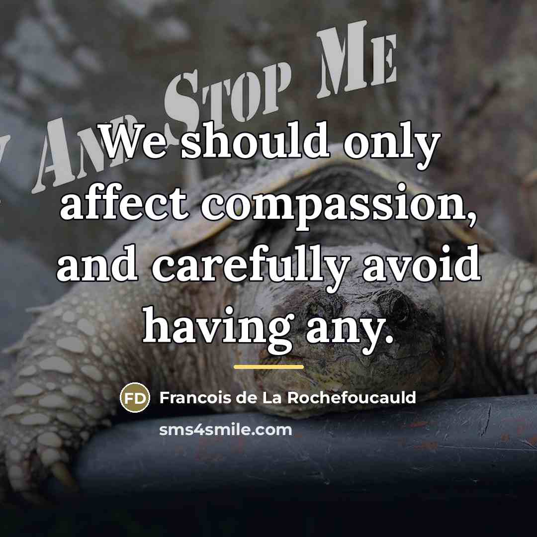 “We should only affect compassion, and carefully avoid having any.…” quote by Francois de La Rochefoucauld