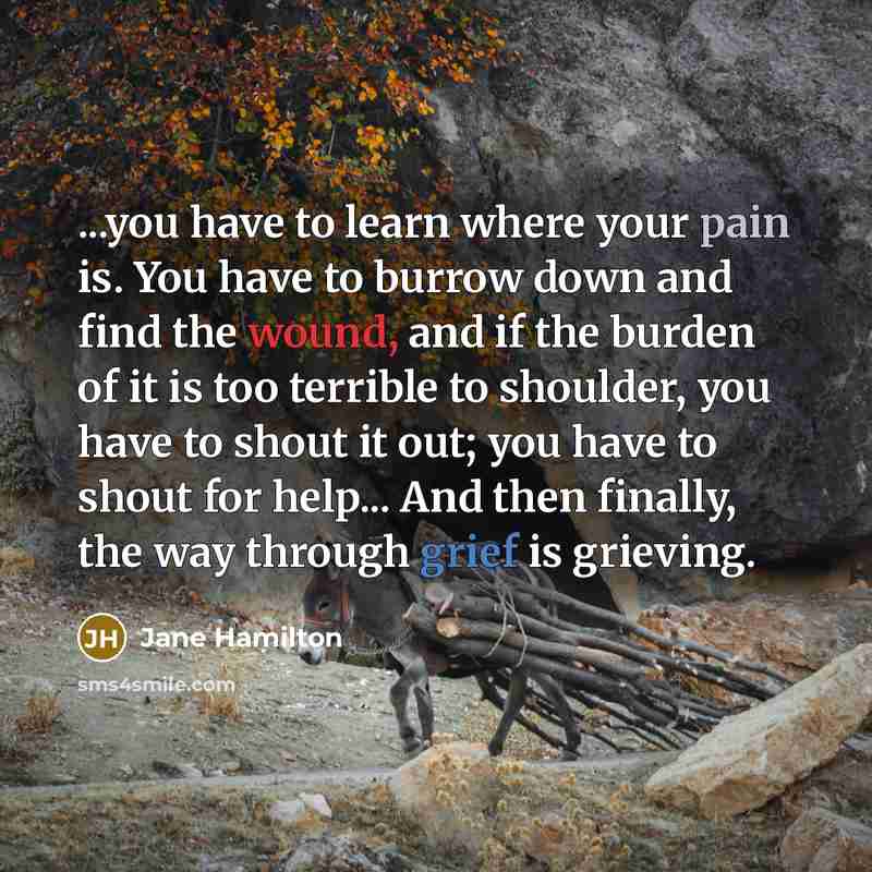 “...you have to learn where your pain is. You have…” quote by Jane Hamilton