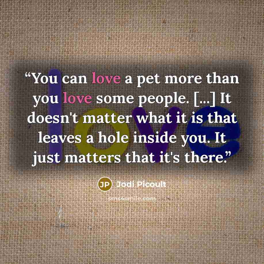 “You can love a pet more than you love some people. [...] It doesn't matter what it is that leaves a hole inside you. It just matters that it's there.” quote by Jodi Picoult