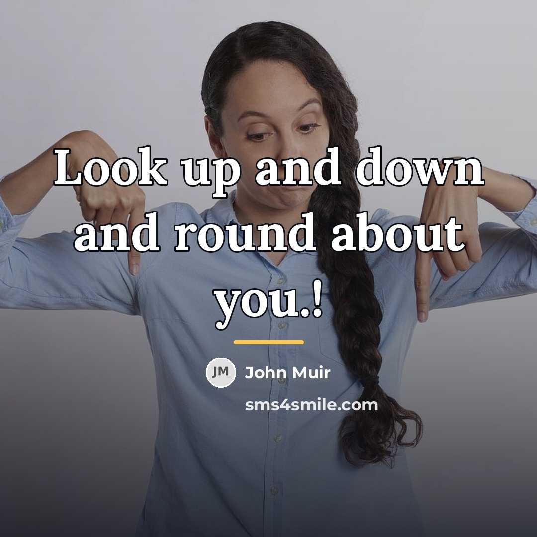 “Look up and down and round about you.!…” quote by John Muir