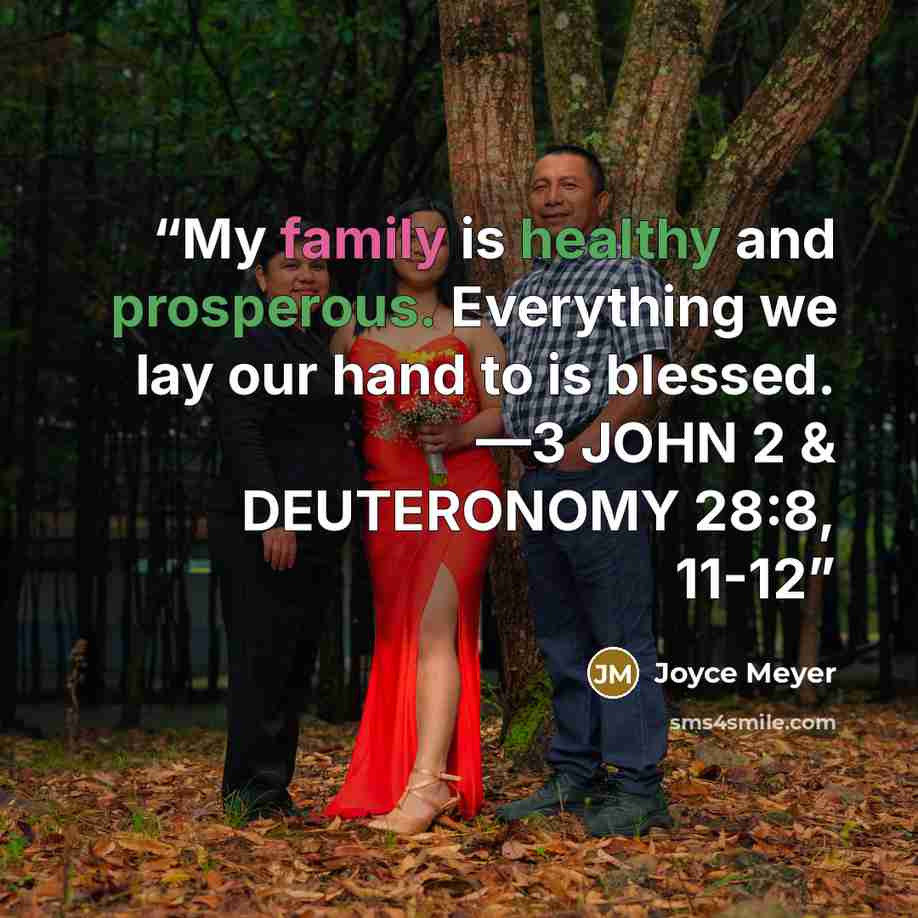 “My family is healthy and prosperous. Everything we lay our hand to is blessed. —3 JOHN 2 & DEUTERONOMY 28:8, 11-12” quote by Joyce Meyer