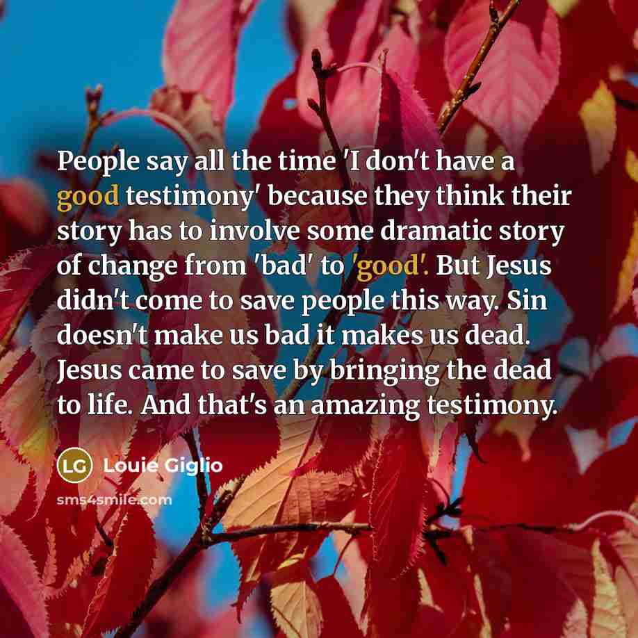 “People say all the time 'I don't have a good…” quote by Louie Giglio