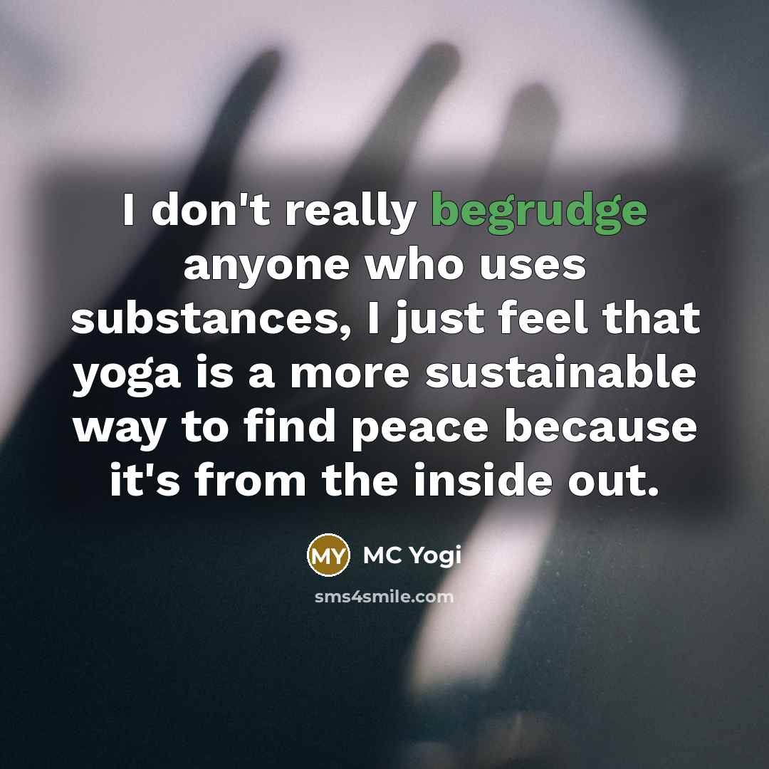 “I don't really begrudge anyone who uses substances, I just…” quote by MC Yogi