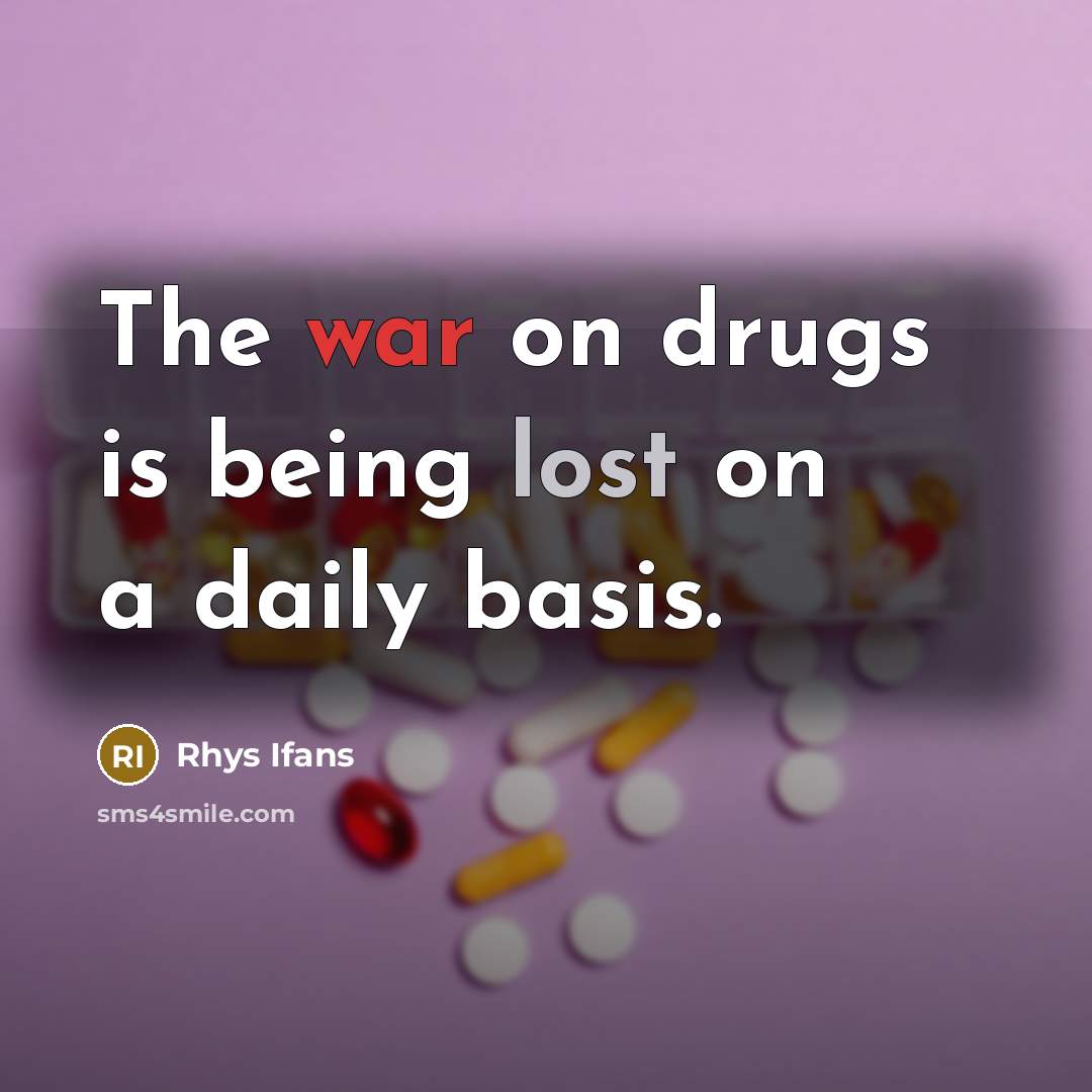“The war on drugs is being lost on a daily…” quote by Rhys Ifans