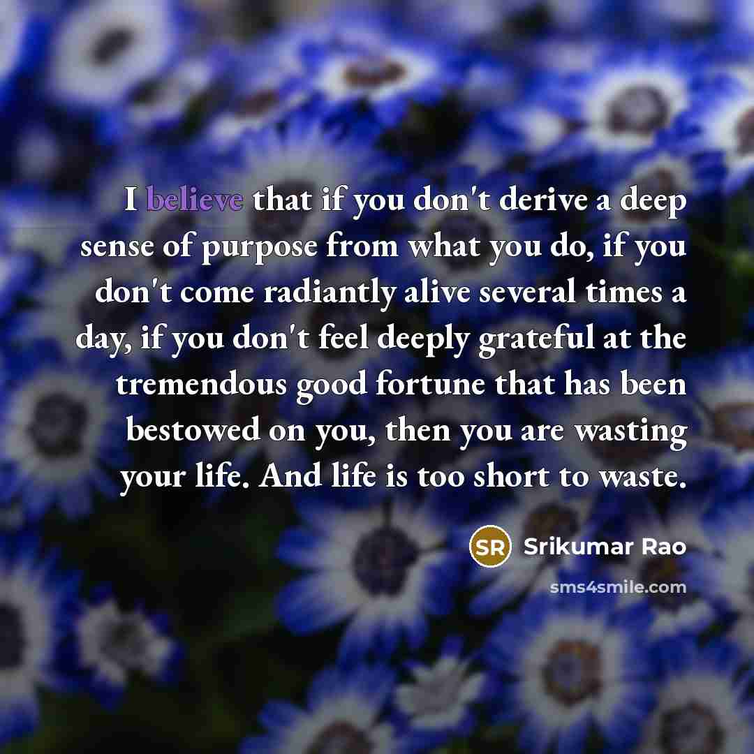 “I believe that if you don't derive a deep sense…” quote by Srikumar Rao