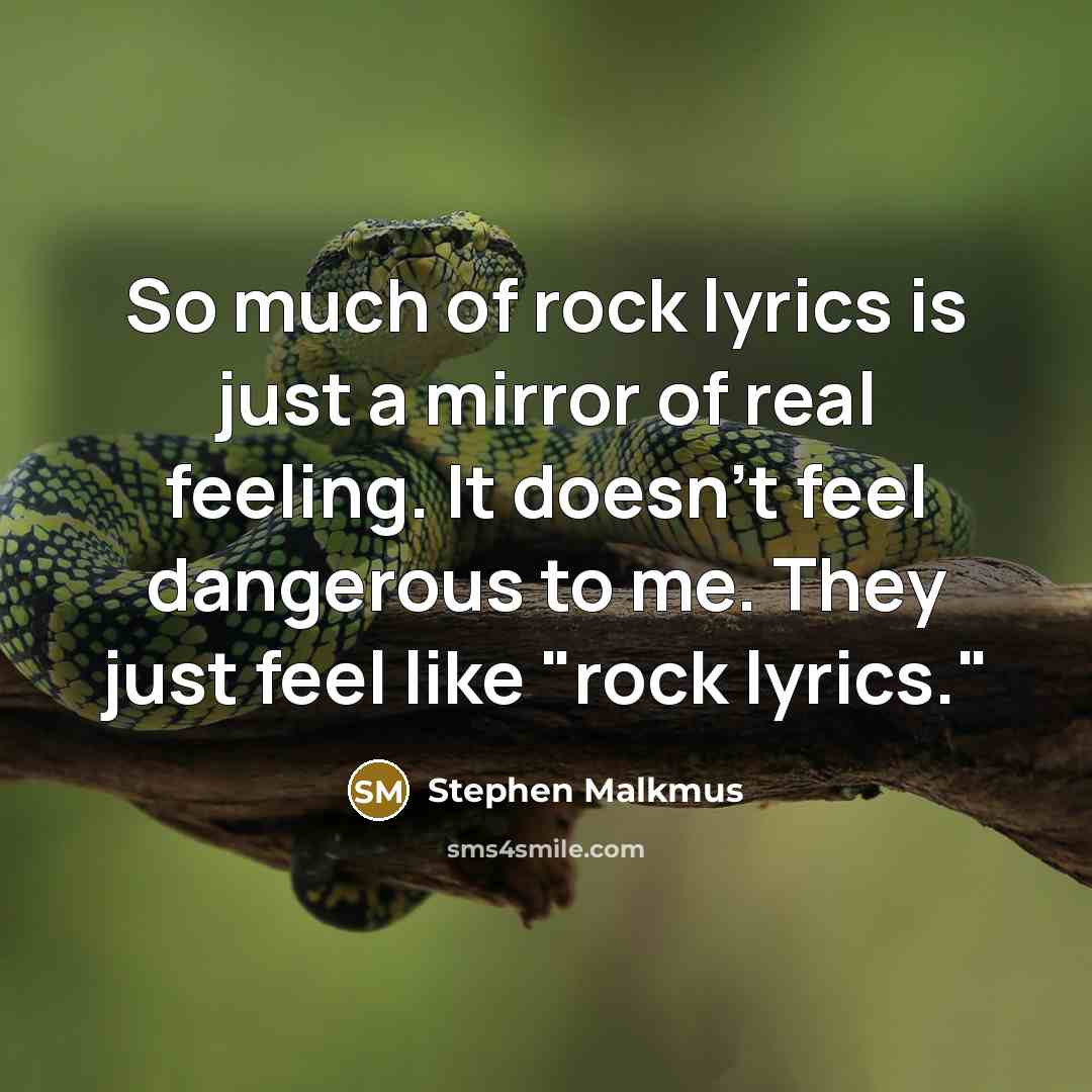 “So much of rock lyrics is just a mirror of…” quote by Stephen Malkmus