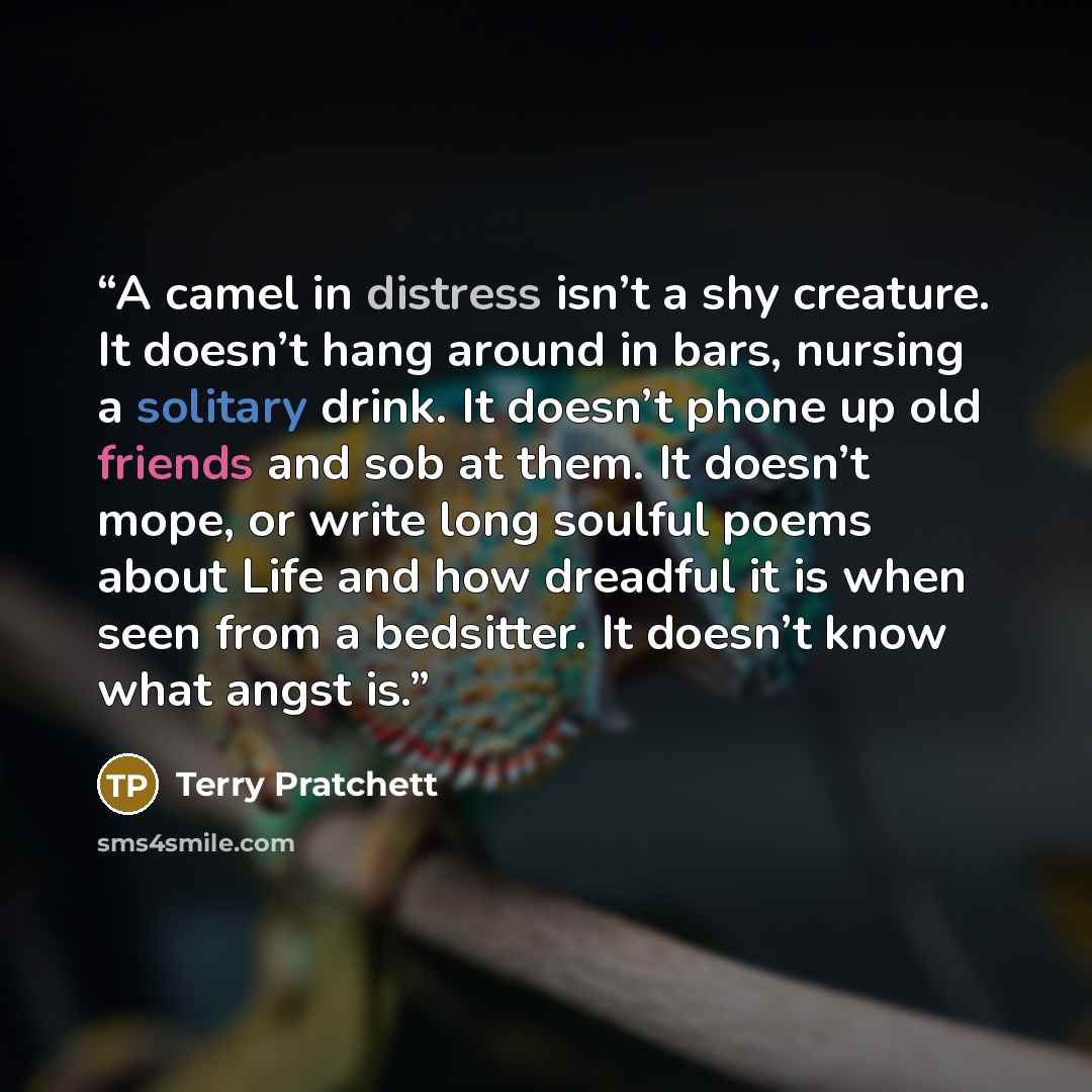“A camel in distress isn’t a shy creature. It doesn’t hang around in bars, nursing a solitary drink. It doesn’t phone up old friends and sob at them. It doesn’t mope, or write long soulful poems about Life and how dreadful it is when seen from a bedsitter. It doesn’t know what angst is.” quote by Terry Pratchett