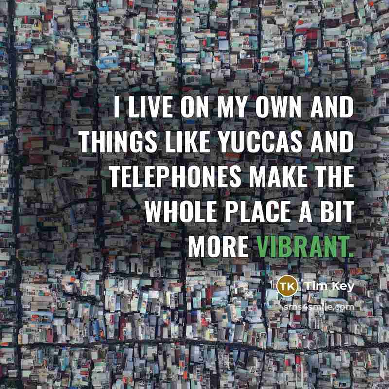 “I live on my own and things like yuccas and…” quote by Tim Key