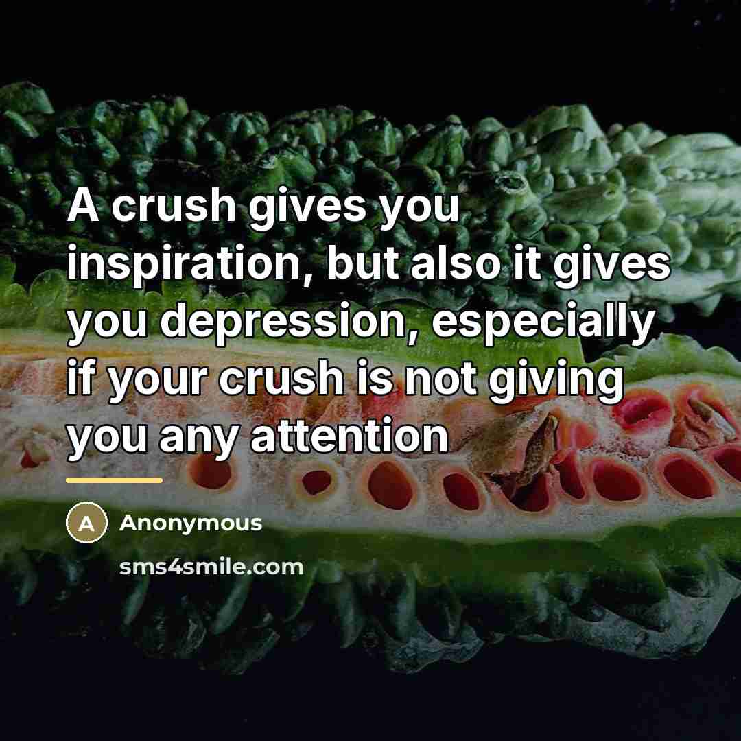 “A crush gives you inspiration, but also it gives you…” quote by Anonymous