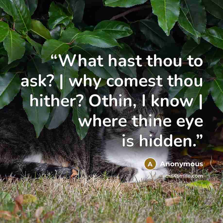 “What hast thou to ask? | why comest thou hither? Othin, I know | where thine eye is hidden.” quote by Anonymous