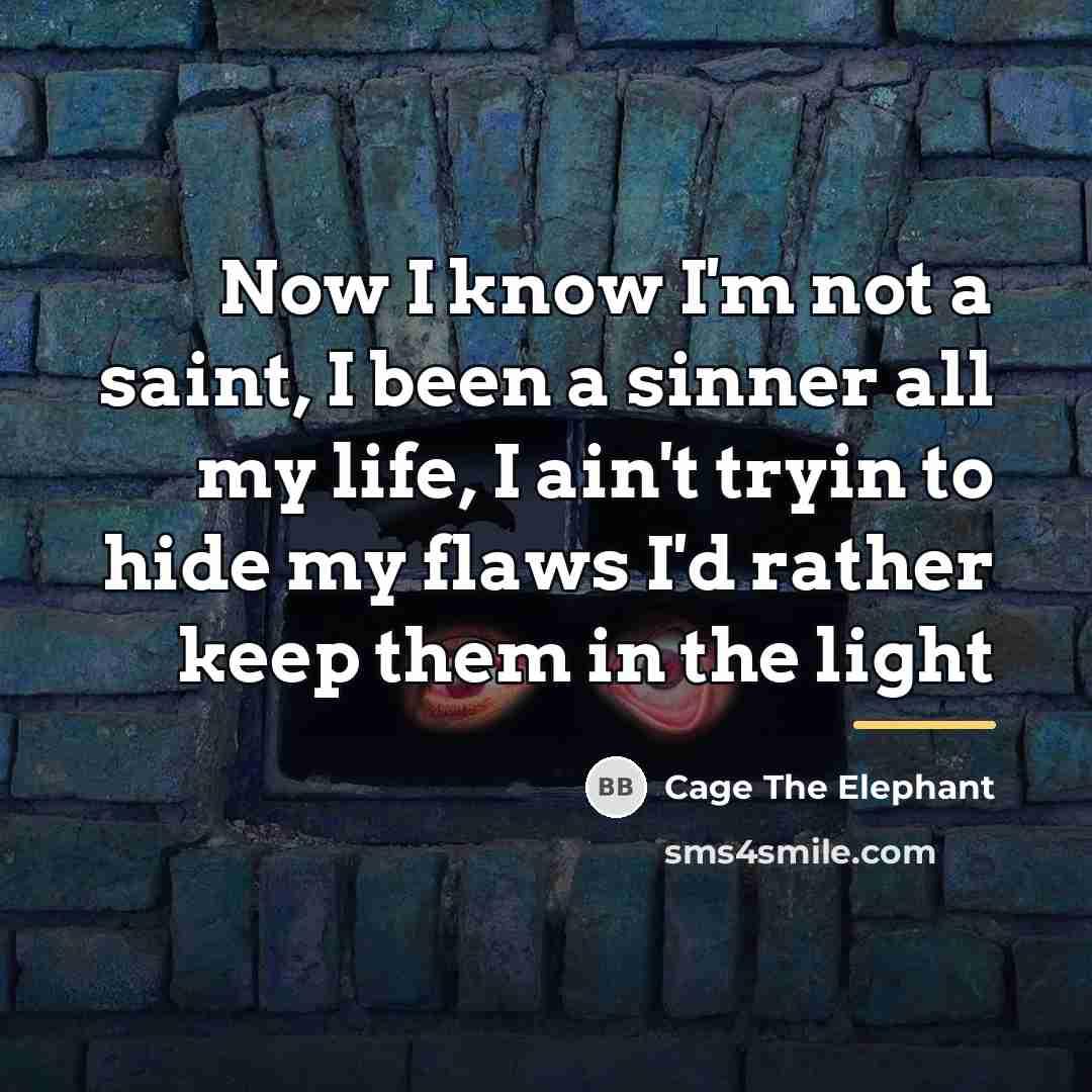 “Now I know I'm not a saint, I been a…” quote by Cage The Elephant