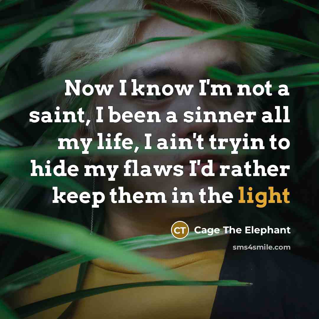 “Now I know I'm not a saint, I been a sinner all my life, I ain't tryin to hide my flaws I'd rather keep them in the light” quote by Cage The Elephant